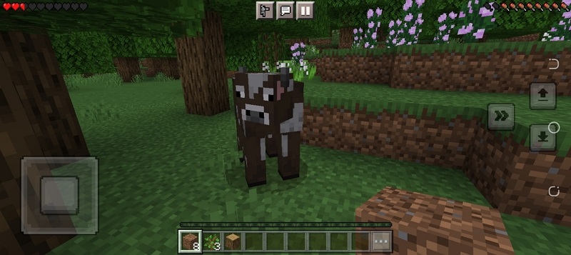 Descargar Minecraft 1.19.0 10